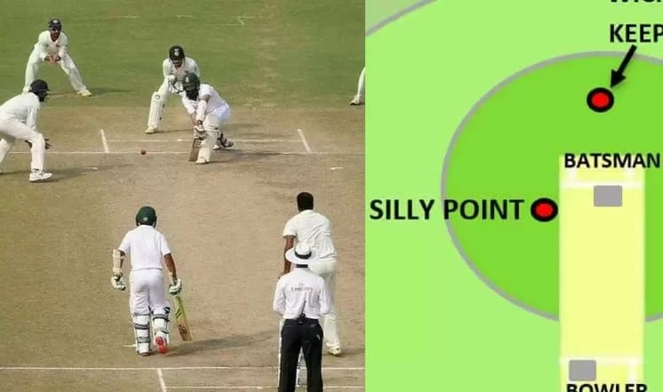 Silly Point: Exploring the Intricate Tactics and Plays of this Strategic Cricket Position